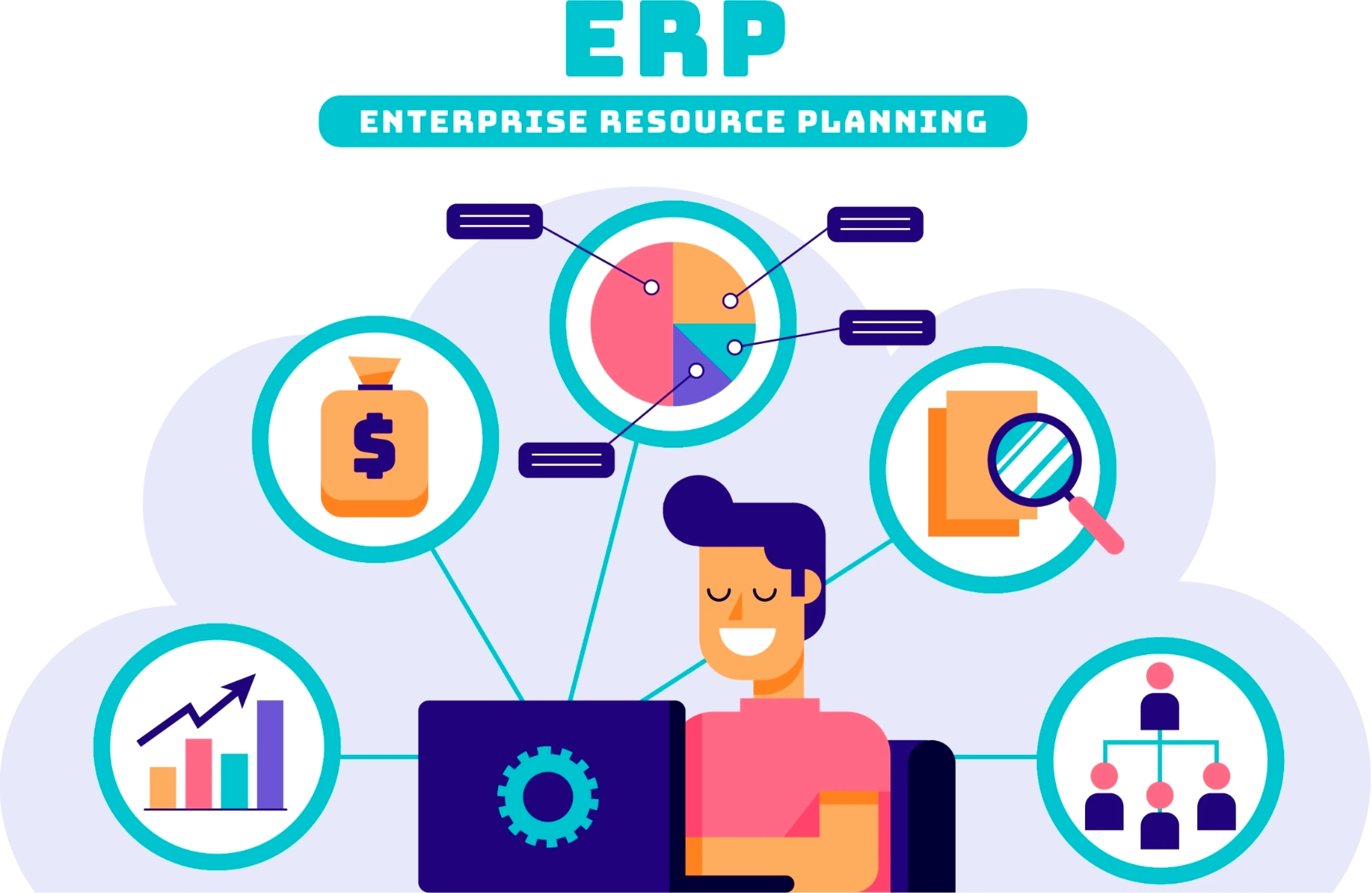 Custom ERP Service